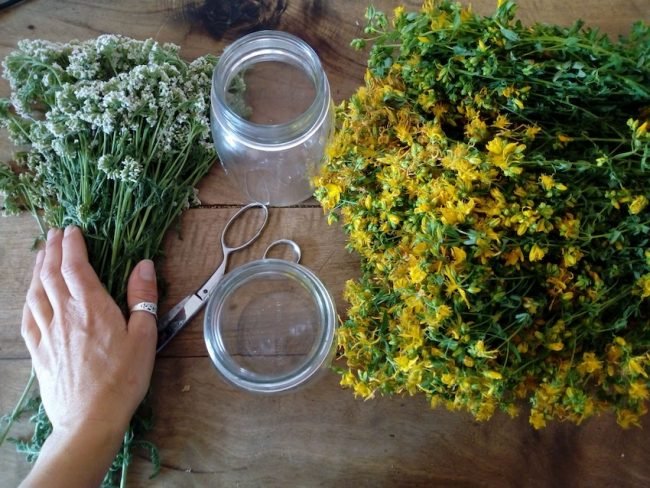 IMG_20210624_085854 – janette peyrot