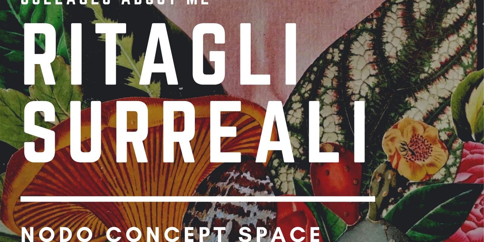 Alessia Barral – ritagli surreali – mostra